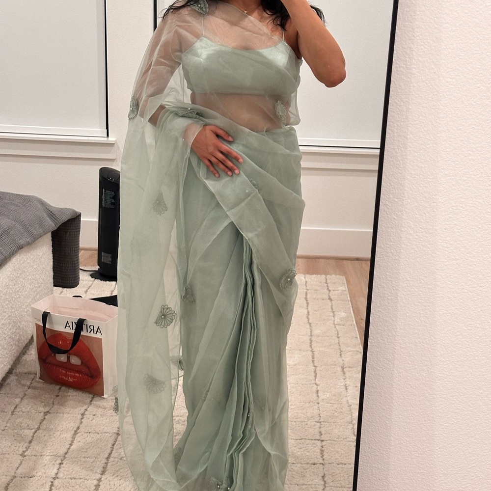 Elegant Sheer Green Saree